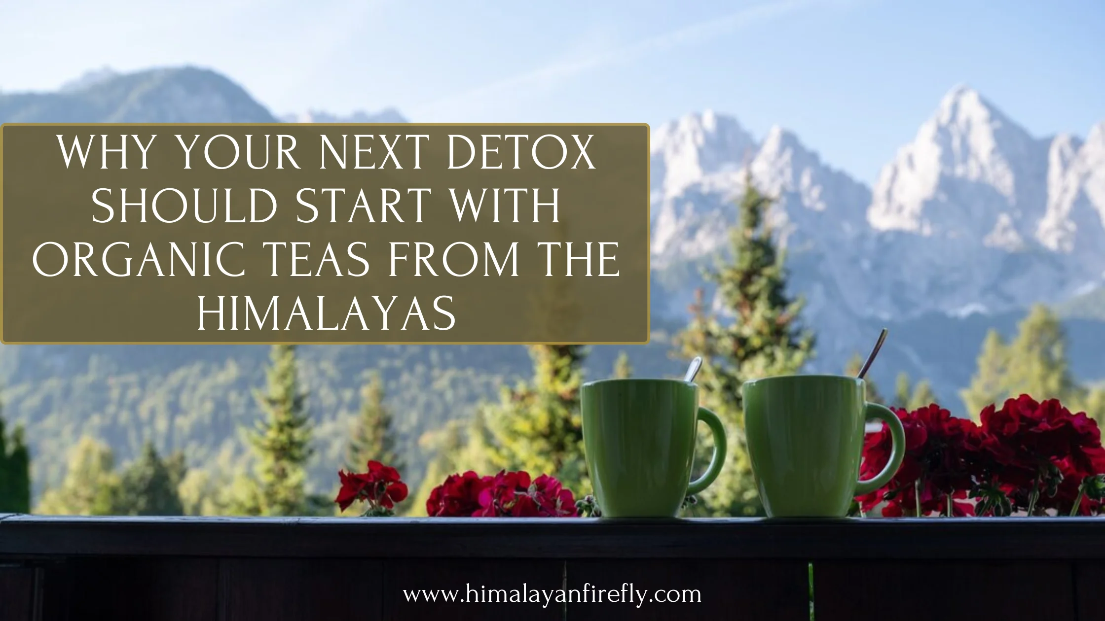 Why Your Next Detox Should Start with Our Organic Teas from the Himalayas