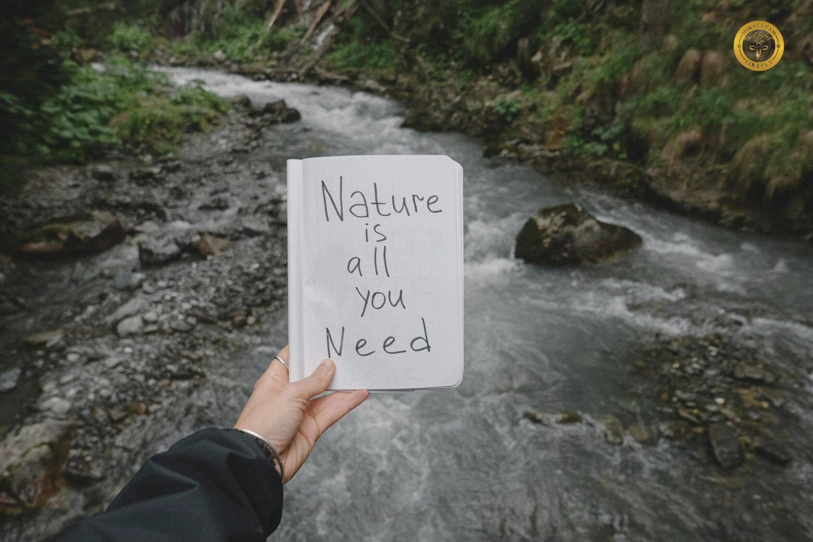 Mountain Wisdom