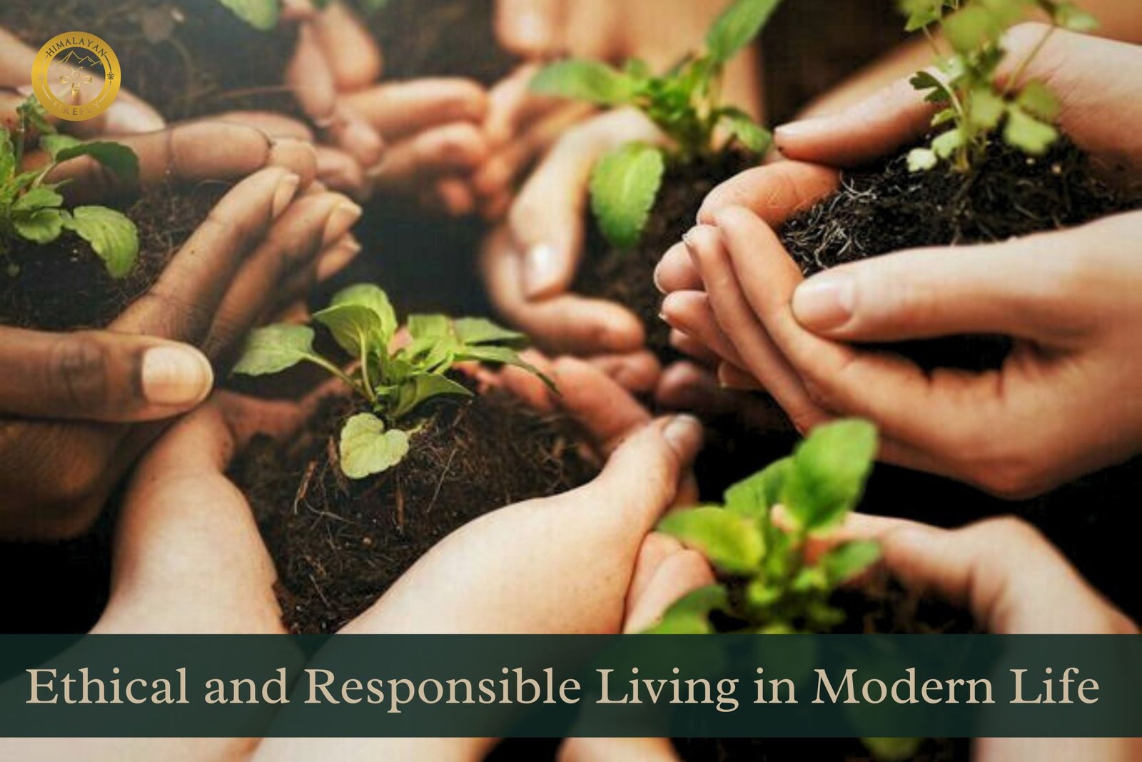 Sustainability