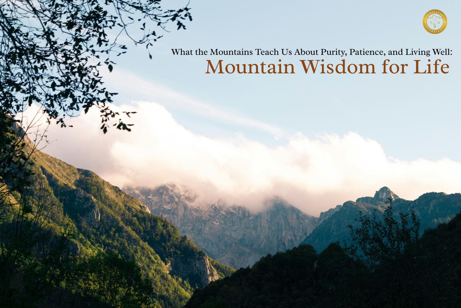 Mountain Wisdom